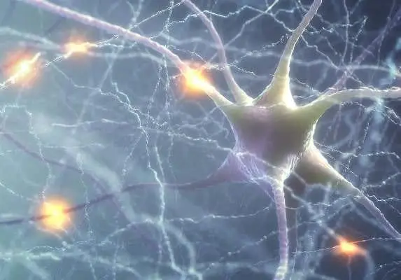 Neural activity brain health image